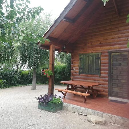 Cabana De Madera La Encina 布伦切尔 外观 照片