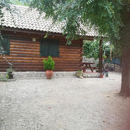 Cabana De Madera La Encina 布伦切尔 外观 照片