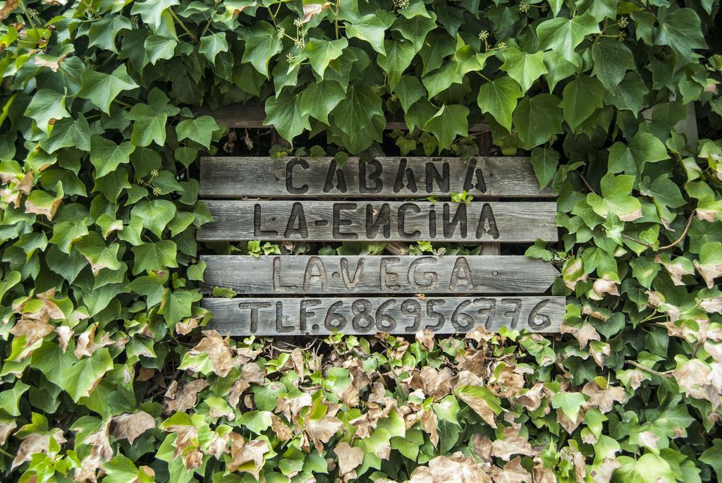 Cabana De Madera La Encina 布伦切尔 外观 照片